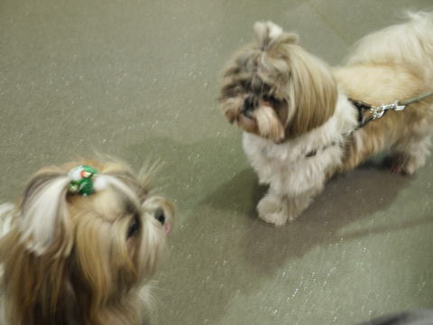 c0090198_213189.jpg