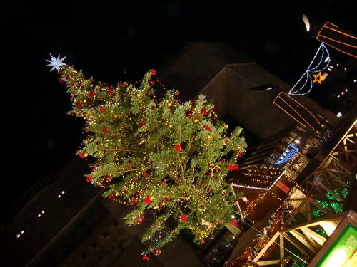e0153000_1855971.jpg