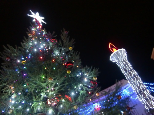 e0153000_1856286.jpg
