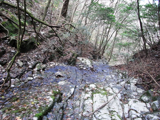 f0187402_20332972.jpg