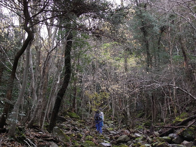 f0187402_2033627.jpg