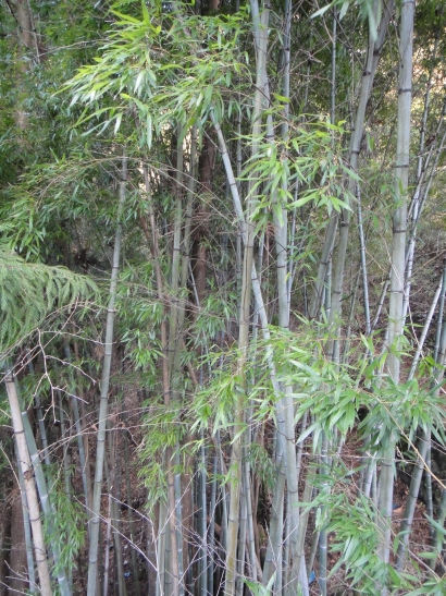b0172805_330284.jpg