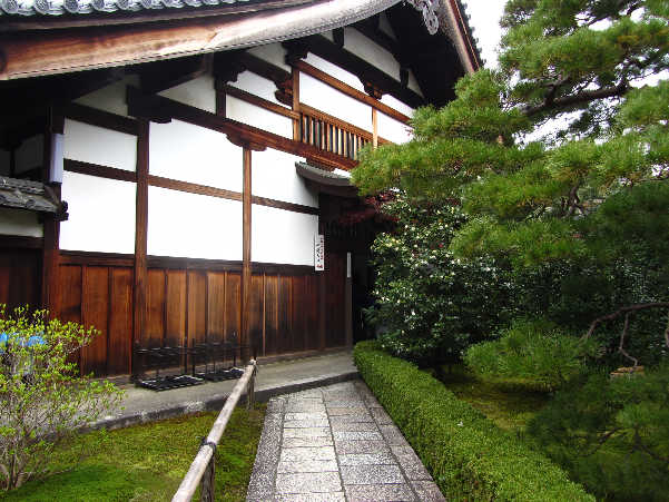d0154609_881578.jpg