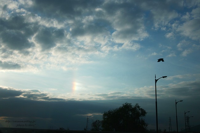 f0129510_14154527.jpg