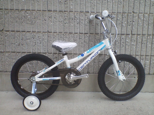 c0100318_16175452.jpg