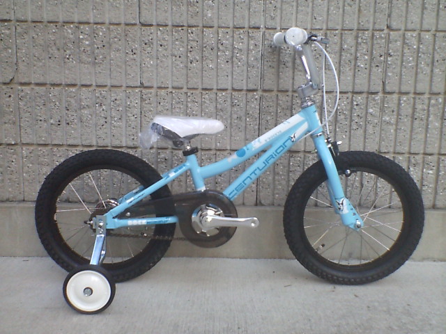 c0100318_16191161.jpg