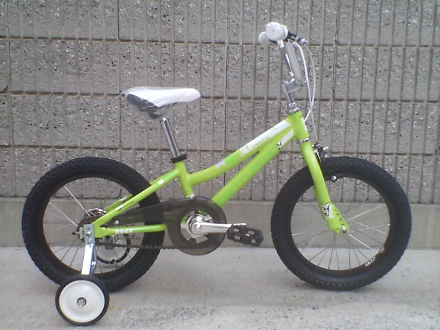c0100318_16204938.jpg