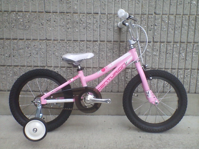 c0100318_16224490.jpg