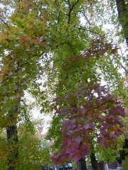 a0157619_23164872.jpg
