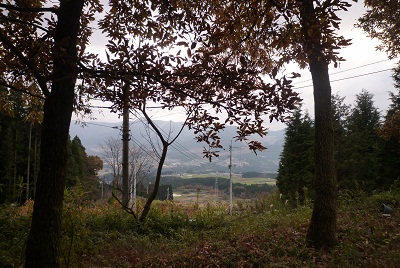 f0031420_7294244.jpg