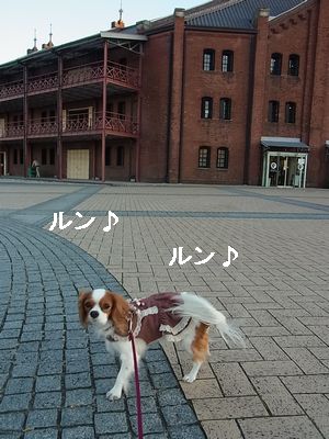 f0214121_2295681.jpg