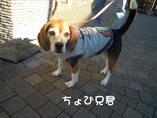 c0166622_21232134.jpg