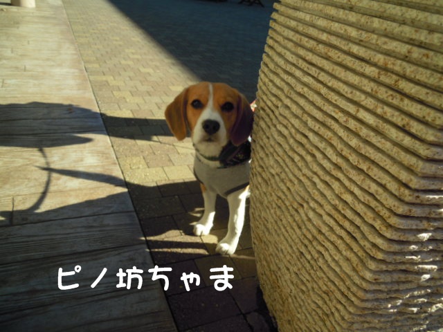 c0166622_2123414.jpg