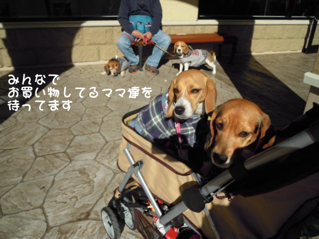 c0166622_21311339.jpg