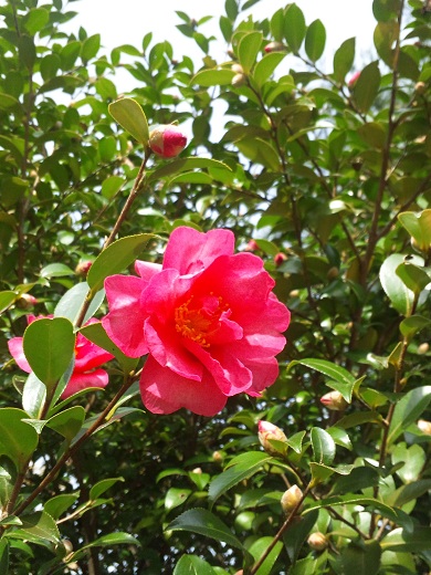 b0199924_168201.jpg