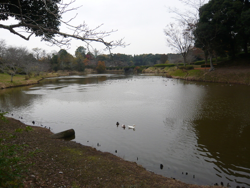 a0206332_932981.jpg
