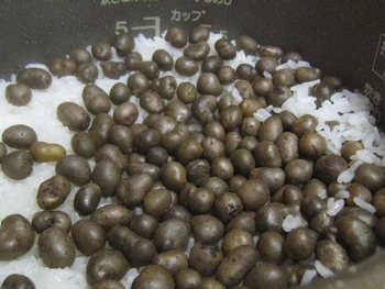 c0134734_056073.jpg
