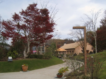 c0134734_2243216.jpg