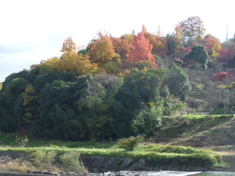 d0174037_091950.jpg