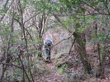 c0077338_602475.jpg