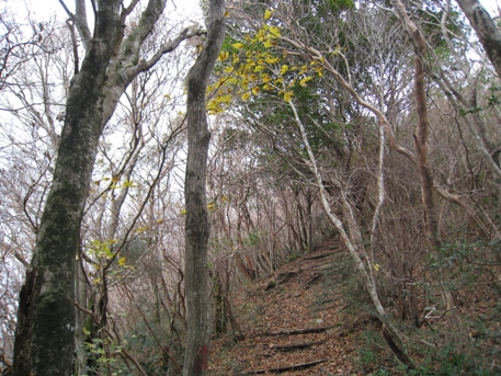 c0077338_6105728.jpg