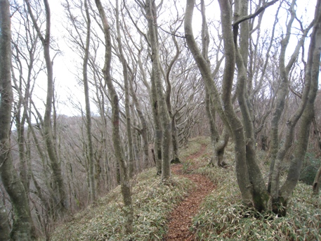 c0077338_612386.jpg