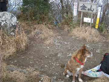 c0077338_6202242.jpg