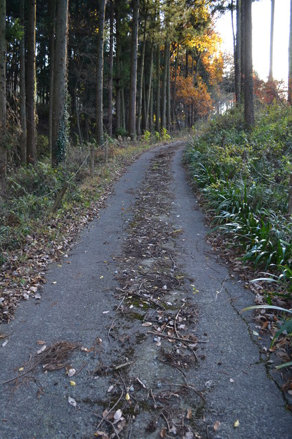 e0228938_18325184.jpg