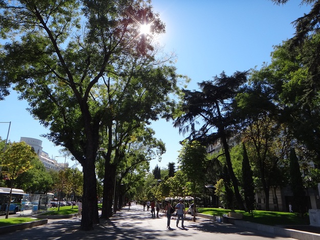 e0238838_317679.jpg
