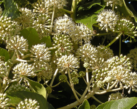 a0001354_22455120.gif
