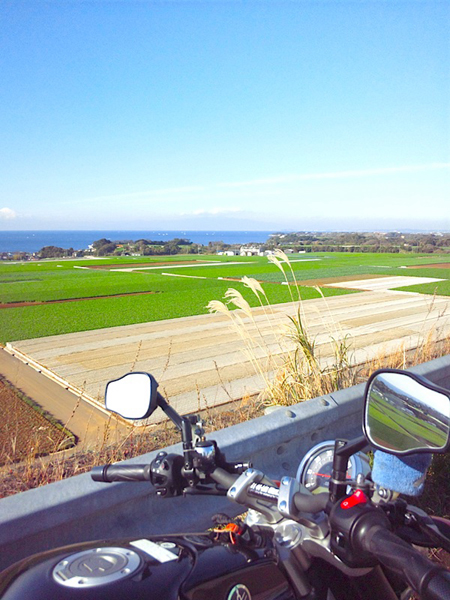b0078754_187785.jpg