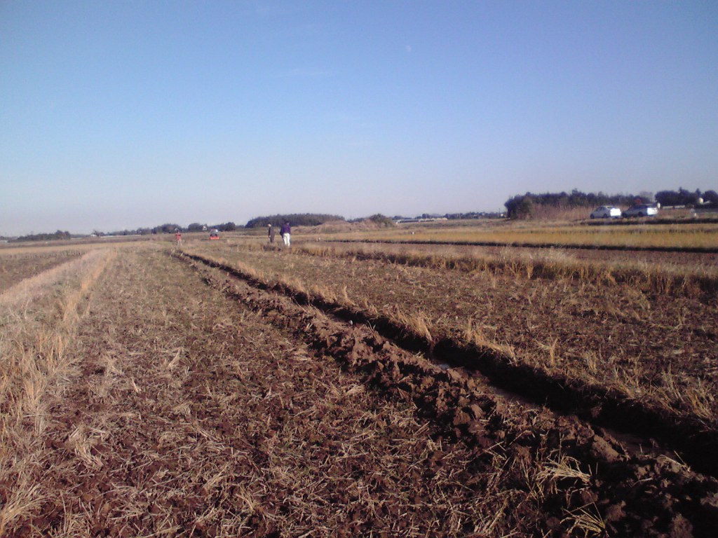 f0057955_2121474.jpg