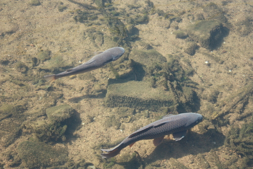 a0211756_23125452.jpg