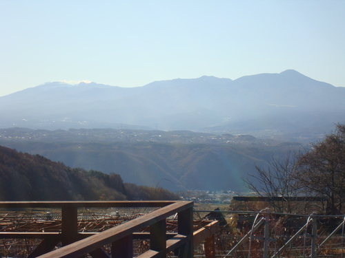 f0198556_23593016.jpg