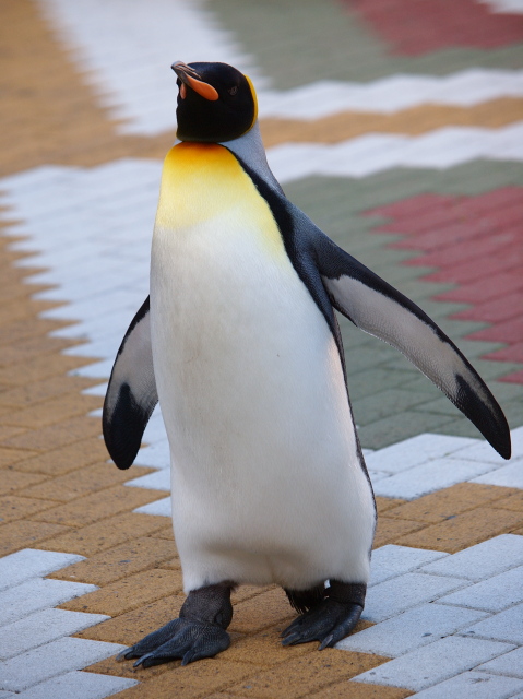 c0186760_20423245.jpg