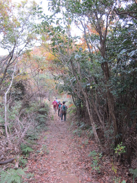 e0181260_184241.jpg
