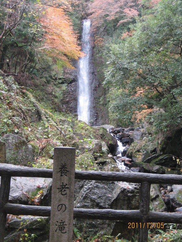a0148061_2335378.jpg