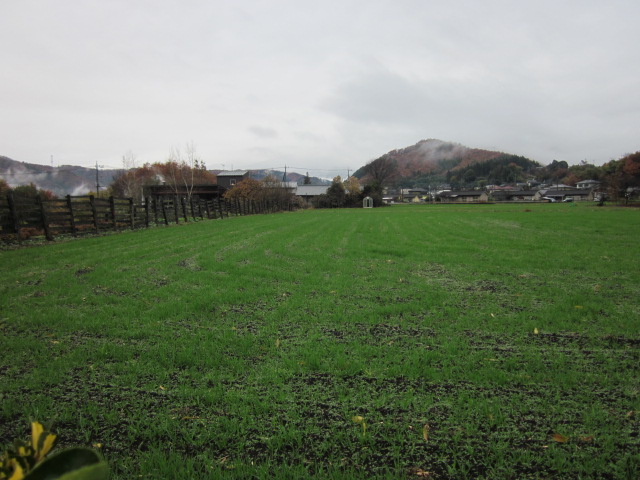 a0120264_9503571.jpg
