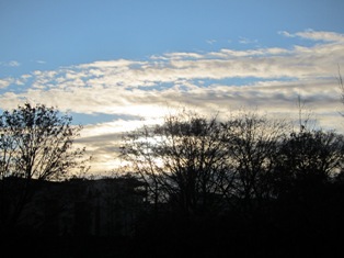 b0091164_198134.jpg