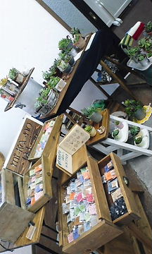 b0091866_7564866.jpg