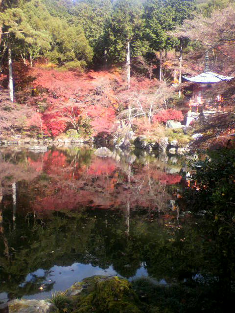 c0018666_21184731.jpg