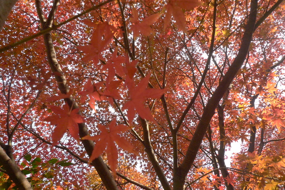 b0151371_22265214.jpg