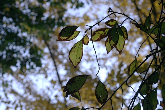b0151371_2228830.jpg