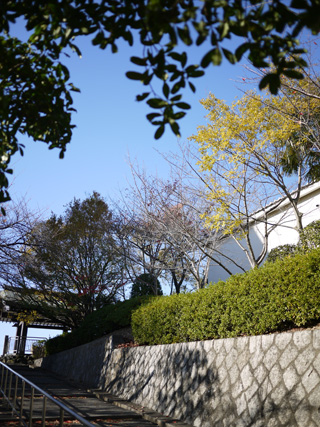 b0086273_15224821.jpg