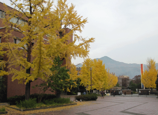 b0159780_23385784.gif