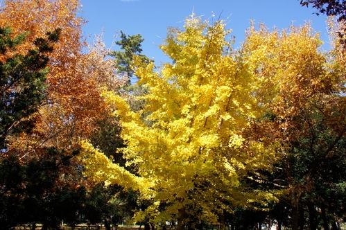 e0245080_2345545.jpg