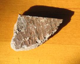 e0130185_1314961.jpg