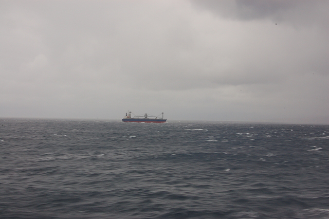 b0203588_83150.jpg