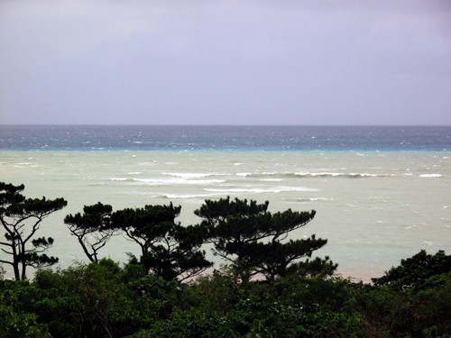c0064389_10251718.jpg