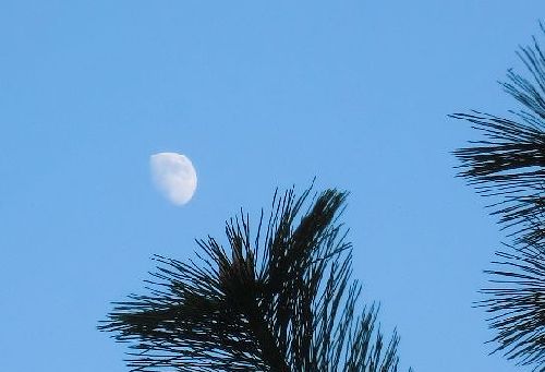 e0143690_17505281.jpg